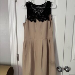 Elegant Black and Tan Lace Dress